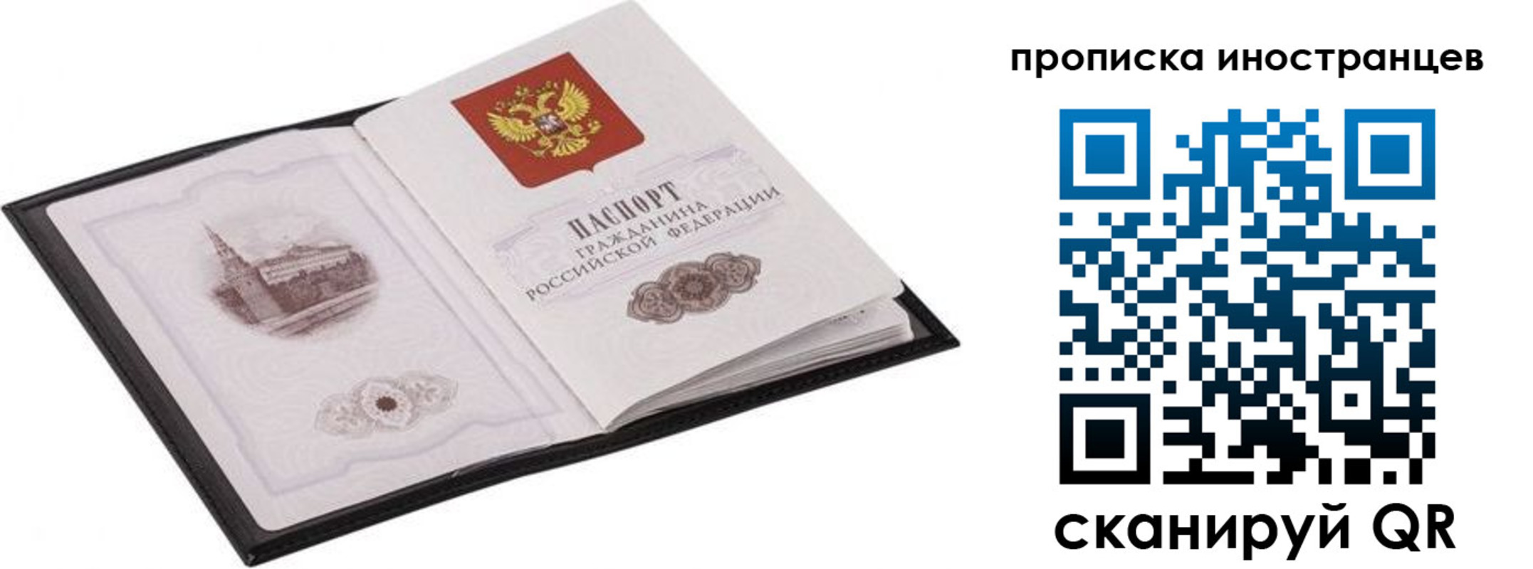 прописка ребенка в Курске